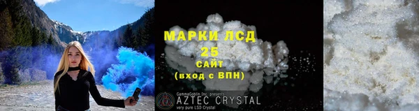 прущие грибы Абаза