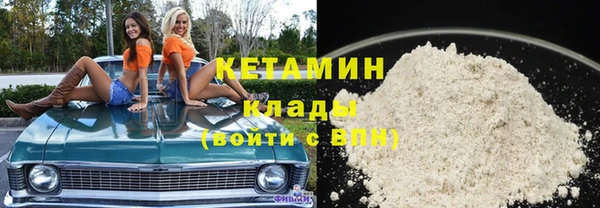 прущие грибы Абаза