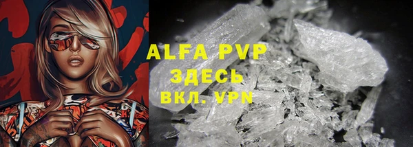 прущие грибы Абаза