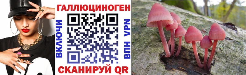 купить закладку  Нягань  kraken онион  Псилоцибиновые грибы прущие грибы 